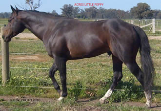 acres_little_peppy
