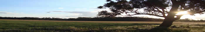 bottom banner