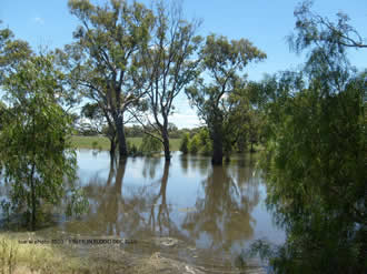 flood