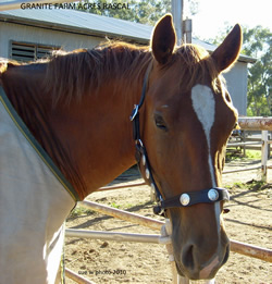 acres_rascal